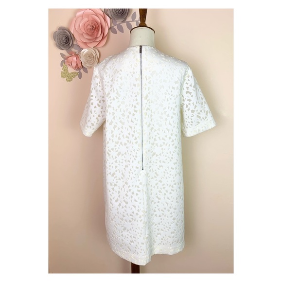 New! ELIZABETH & JAMES Chelle Flocked Shift Dress - Picture 7 of 12